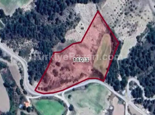 Denizli Kale İlçesi Gökçeören köyünde satılık tarla