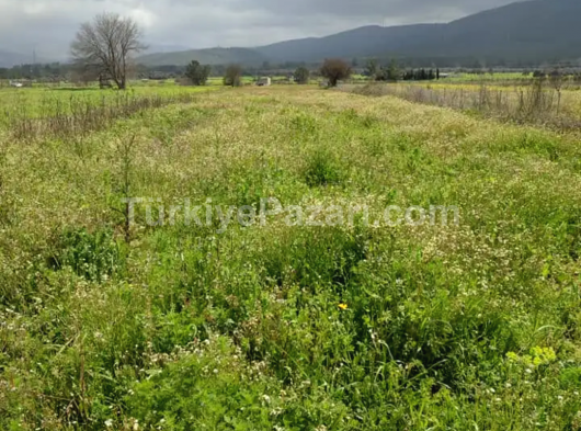 BODRUM SAZKÖY MAHALLESİ FİYATI DÜŞTÜ İLK GELEN ALIR  3 DÖNÜM 650 M2 YATIRIM LIK MÜSTAKİL TEK TAPU