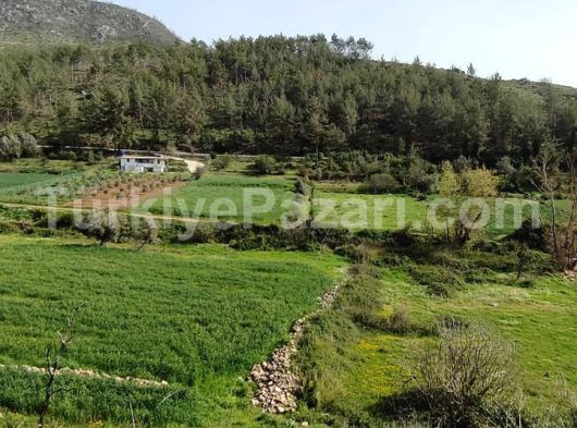 BODRUM GÖKPINAR MAH YATIRIMLIK UYGUN FİYAT PARSELE KADAR YOLU OLAN 250 M2 MÜSTAKİL TEK TAPULU