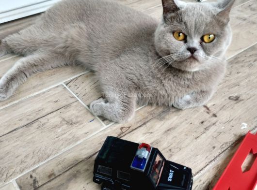 Güzel Kızımıza yuva