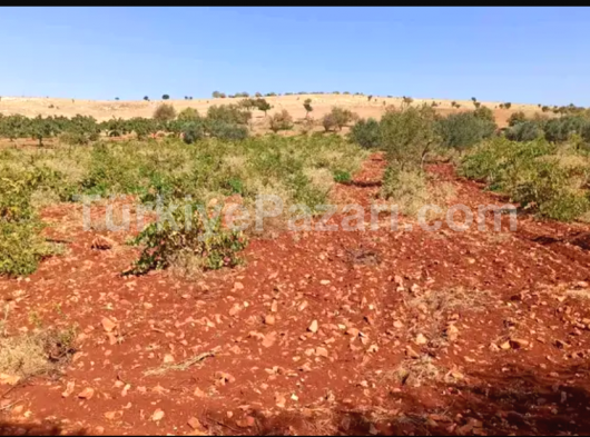 POLAT GAYRİMENKULDEN 75.YIL MAHELLESİ YAPI KAYIT BELGELİ 2+1KATTAN BÖLME 2.KAT ARA KAT