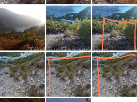 DİM ÇAYI ÜZÜMLÜ DE SATILIK 5100m2TARLA