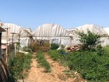 Satılık Sera