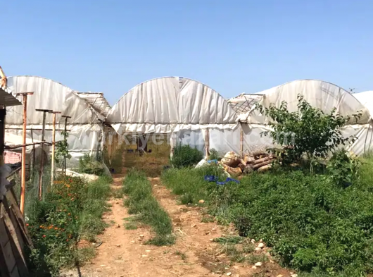 Satılık Sera