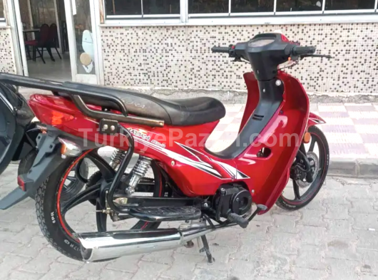 Tertemiz yapılı cub arora