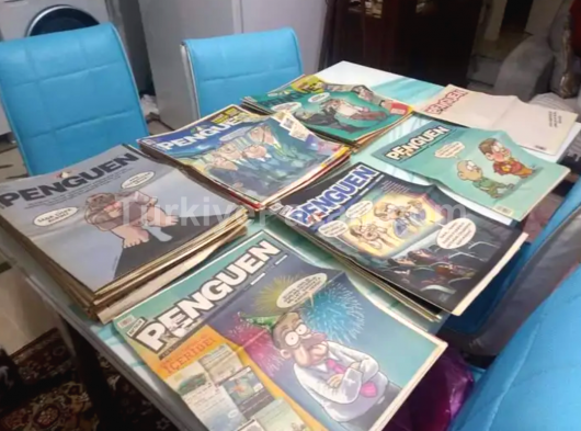 RADISSON DR-911 FM RADYO