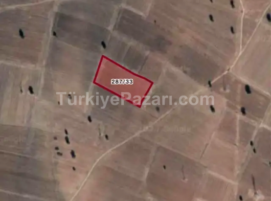 BARDAKOĞLU GAYRİMENKUL Kırklareli Pınarhisar Kaynarca akarlar satılık parseller