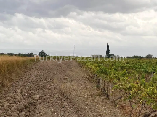 SARUHANLI BÜYÜKBELEN MAHALLESİNDE 906 M2 TEK TAPU BAHÇE