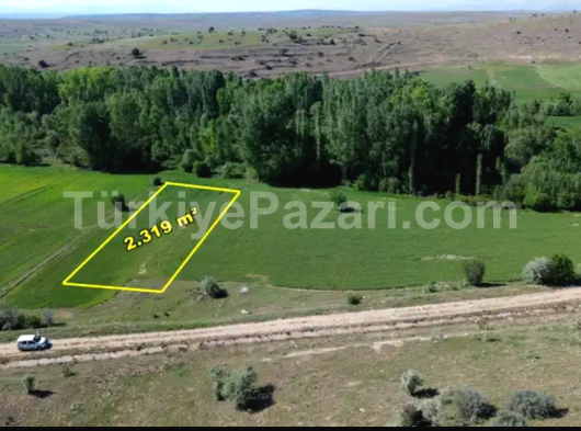 YEŞİLLİKLER İÇİNDE SİZİNDE BİR BAHCENİZ OLSUN MU?