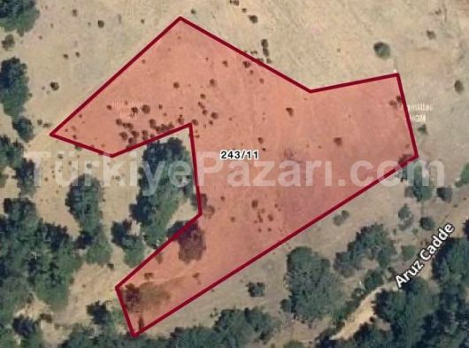 SARUHANLI BÜYÜKBELEN MAHALLESİNDE 906 M2 TEK TAPU BAHÇE