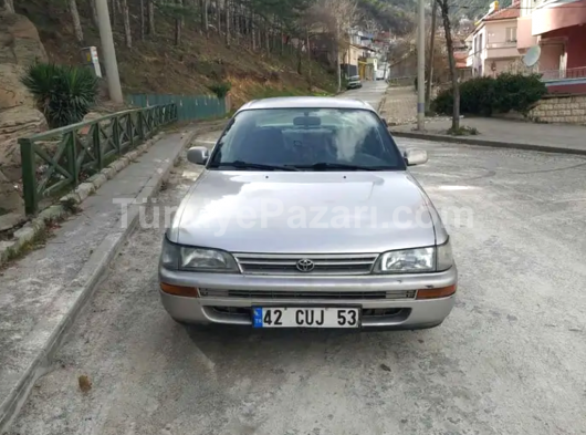 DEĞIŞENSIZ BİR BUÇUK PARÇA BOYALI