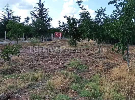 HAZİR BAHÇE AÇIKLAMAYI OKUYUNUZ