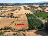 Hadim Bademli'de Tarla fiyatına Satılık Arsa