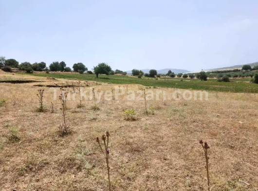 152m² EV MANİSA KIRKAĞAÇ KARAALİDE HALİ HAZIRDA EV ACİL SATILIK