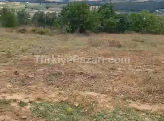 1600 m2 Yenişehir kavaklı köyü