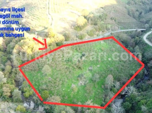 SAMSUN 19 MAYIS KARAGÖLDE 10,5 DÖNÜM FINDIK TARLASI