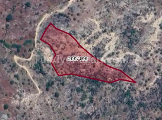 Aydın karpuzlu Meriçler mahallesinde satılık 10.840 m2 zeytinlik