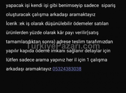 Çalışma arkadaşı arayışımız vardır