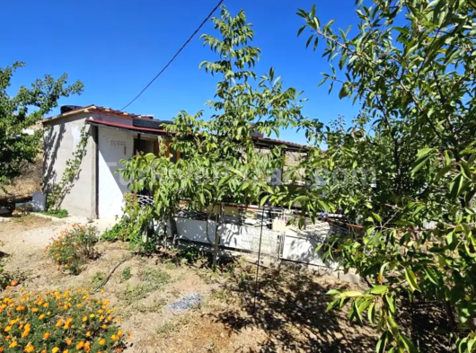 DEREKÖY'DE 277 m2 Hobi Bahçesi SATILIK