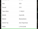 İzmir bayındır kızıloba asvat cebheli 2 adet mütakil tapulu zeytinlik Seç beğen 600 bin TL