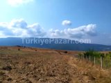 YAZIKÖYDE 920M2 SATILIK BAHÇE  ELEKTRİK SU VE YOL SIKINTISI OLMAYAN DETAYLI BİLGİ İÇİN ARAYINIZ