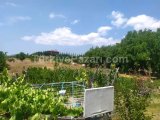YAZIKÖYDE 3530M2 İKİ VİLLA İMARLI SATILIK ARSA