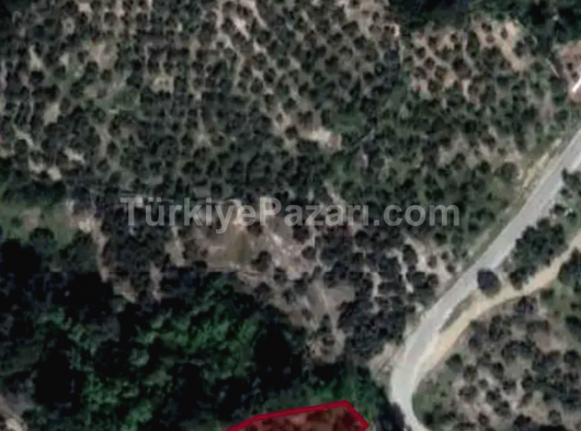 İzmir bayındır muhteşem konumda olan arazimiz acil satılık alan kazanır