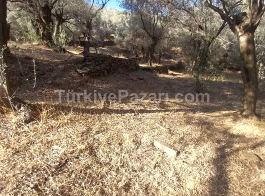 İzmir bayındır sarıyurt müstakil tapulu suyu var
