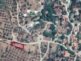 İzmir bayındır yakapınar 2 müstakil tapulu satılık zeytinlik acil satılık