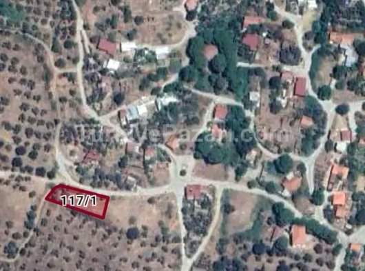 İzmir bayındır yakapınar 2 müstakil tapulu satılık zeytinlik acil satılık