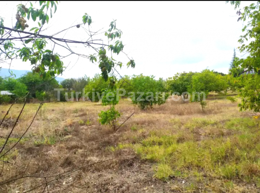 YAZIKÖYDE İKA VİLLA İMARLI 879m2 ARSA ELEKTRİK SU VE YOL SIKINTISI OLMAYAN DETAYLI BİLGİ İÇİN ARAYIN