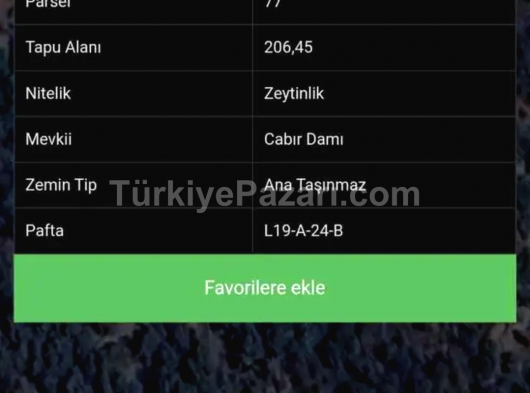 İzmir bayındır sarıyurt müstakil tapulu suyu var