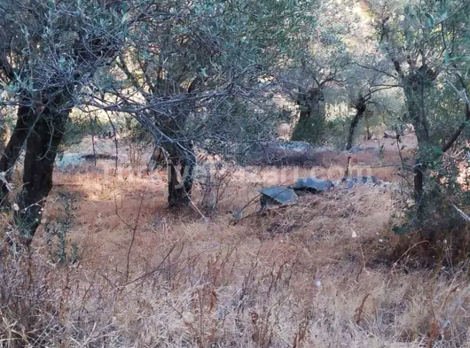 İzmir bayındır yaka pınar kaçmaz fırsat satılık zeytinlik