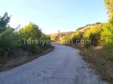 YAZIKÖYDE 920M2 SATILIK BAHÇE  ELEKTRİK SU VE YOL SIKINTISI OLMAYAN DETAYLI BİLGİ İÇİN ARAYINIZ