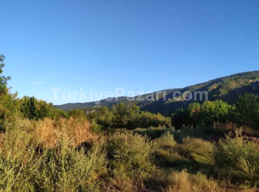 YAZIKÖYDE 920M2 SATILIK BAHÇE  ELEKTRİK SU VE YOL SIKINTISI OLMAYAN DETAYLI BİLGİ İÇİN ARAYINIZ