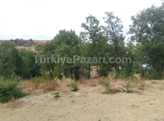 YAZIKÖYDE 920M2 SATILIK BAHÇE  ELEKTRİK SU VE YOL SIKINTISI OLMAYAN DETAYLI BİLGİ İÇİN ARAYINIZ