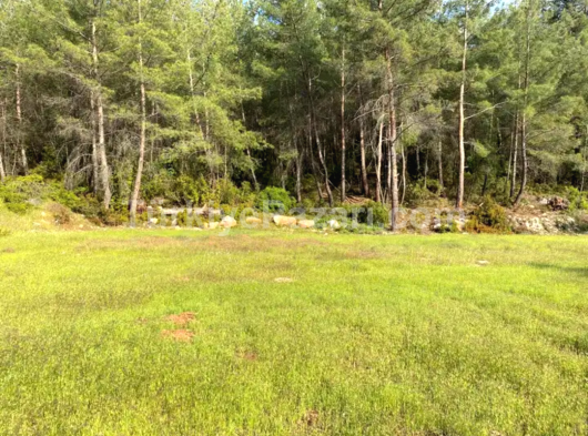 SATILIK 11 DÖNÜM 607m2 EFSANE ARAZİ SATIŞTA