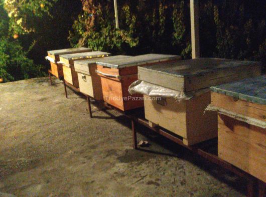 Bilecik osmanelide 5800 M2 İMARLI ARSA