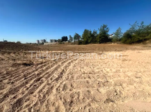 HATİCE AKSU’DAN ORHANGAZİDE 2+1 AÇIK MUTFAK HASARSIZ İSKANLI KREDİYE UYGUN KAT VE CEPHE SEÇENEKLİ