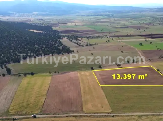 KONYA / MERAM / KİLİSTRA MAHALLESİNDE 792 m² MÜSTAKİL TAPULU TARLA