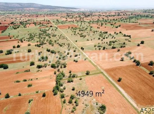 KONYA MERAM GUNEYDERE MAHALLESİNDE EVLİ BAHÇE MÜSTAKİL TAPULU TARLA