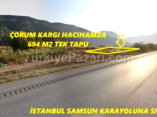 KONYA MERAM GUNEYDERE MAHALLESİNDE EVLİ BAHÇE MÜSTAKİL TAPULU TARLA