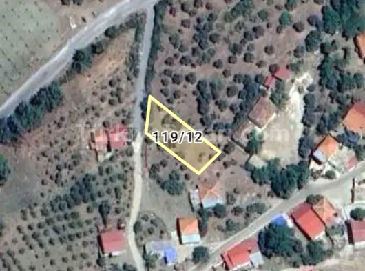 İzmir bayındır yaka pınar kaçmaz fırsat satılık zeytinlik