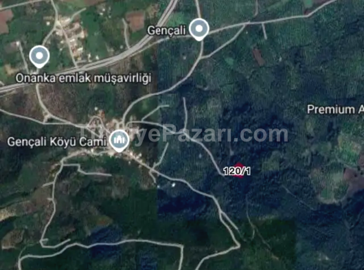 Bursa Gemlik Kurşunlu Gençali Tek Tapu Satılık Zeytinlik