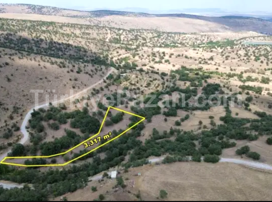 AKÖREN AĞALAR'DA 4.949 M² MÜSTAKİL TAPULU TARLA