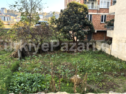 ÜNYE SARACLI MAHALLESİNDE SATILIK ARSA