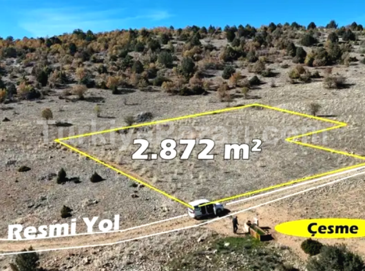 KONYA MERAM GUNEYDERE MAHALLESİNDE EVLİ BAHÇE MÜSTAKİL TAPULU TARLA