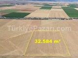 KONYA / CİHANBEYLİ / SIĞIRCIK MAHALLESİNDE 924 m² MÜSTAKİL TAPULU KONUT İMARLI ARSA