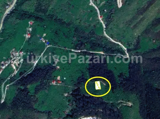 TRABZON ARAKLI KARATEPE MAHALLESİNDE 878 m² MÜSTAKİL TAPULU TAPULU FINDIK BAHÇESİ