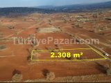 KONYA AKÖREN AĞALAR MAHALLESİNDE 2.308 m² MÜSTAKİL TAPULU TARLA